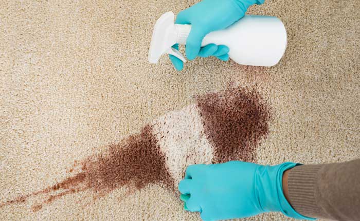 Carpet Cleaning Services