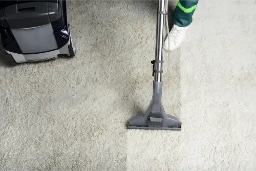Professional Carpet Cleaners