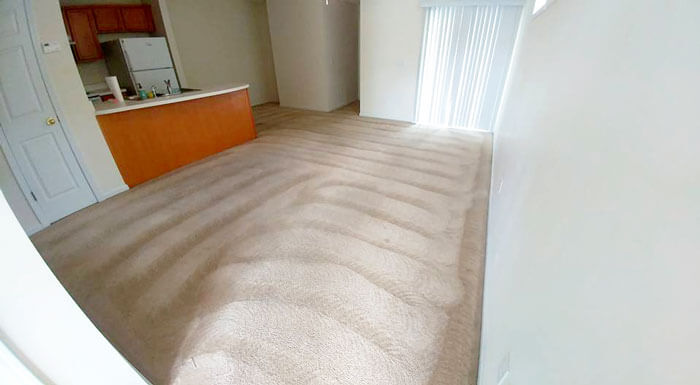 Professional Carpet Cleaners