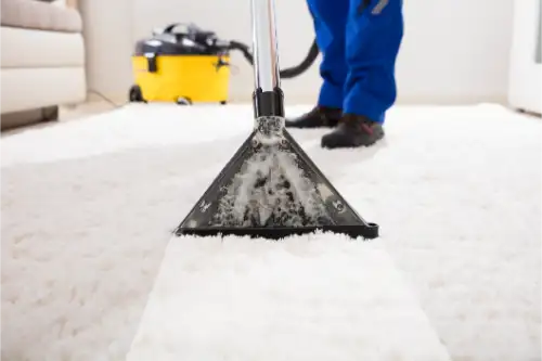 Professional Carpet Cleaners