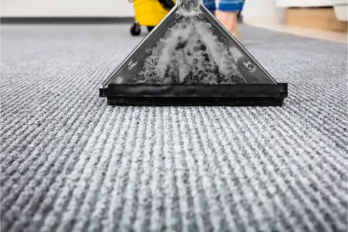 Professional Carpet Cleaners