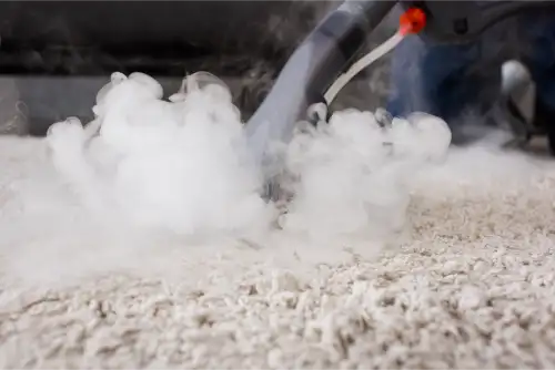 Professional Carpet Cleaners