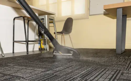 Professional Carpet Cleaners